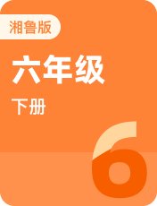 湘鲁版六年级下册